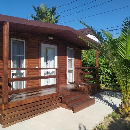 Guesthouse Mira Gagry Exterior photo